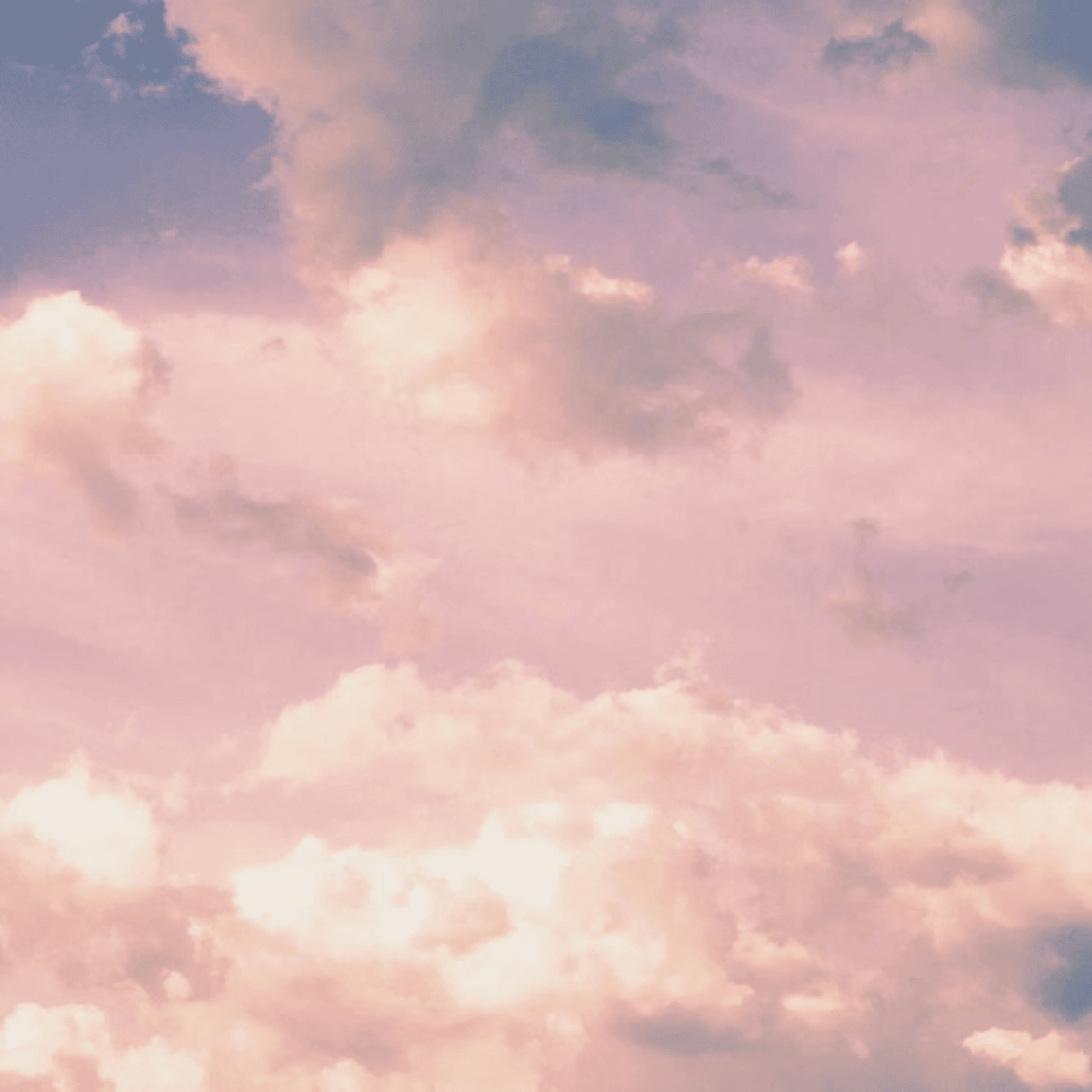 Portrait of Krystal, a professional stylist at Pacific Artistry-Makeup Artists, showcasing their expertise and style.