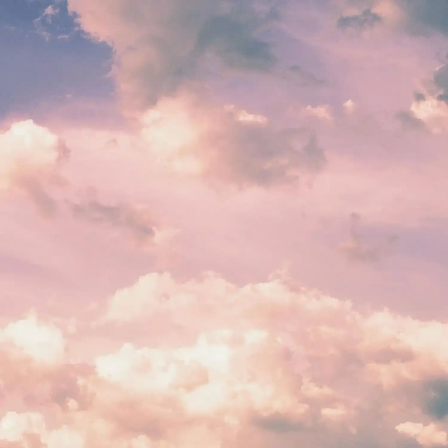 Portrait of Crystal, a professional stylist at Pacific Artistry-Makeup Artists, showcasing their expertise and style.